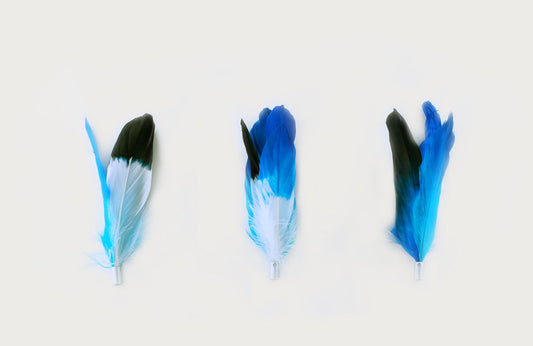 PETKIT New Zealand PIDAN Cat Teaser Wand Refill - 3 Pieces Play