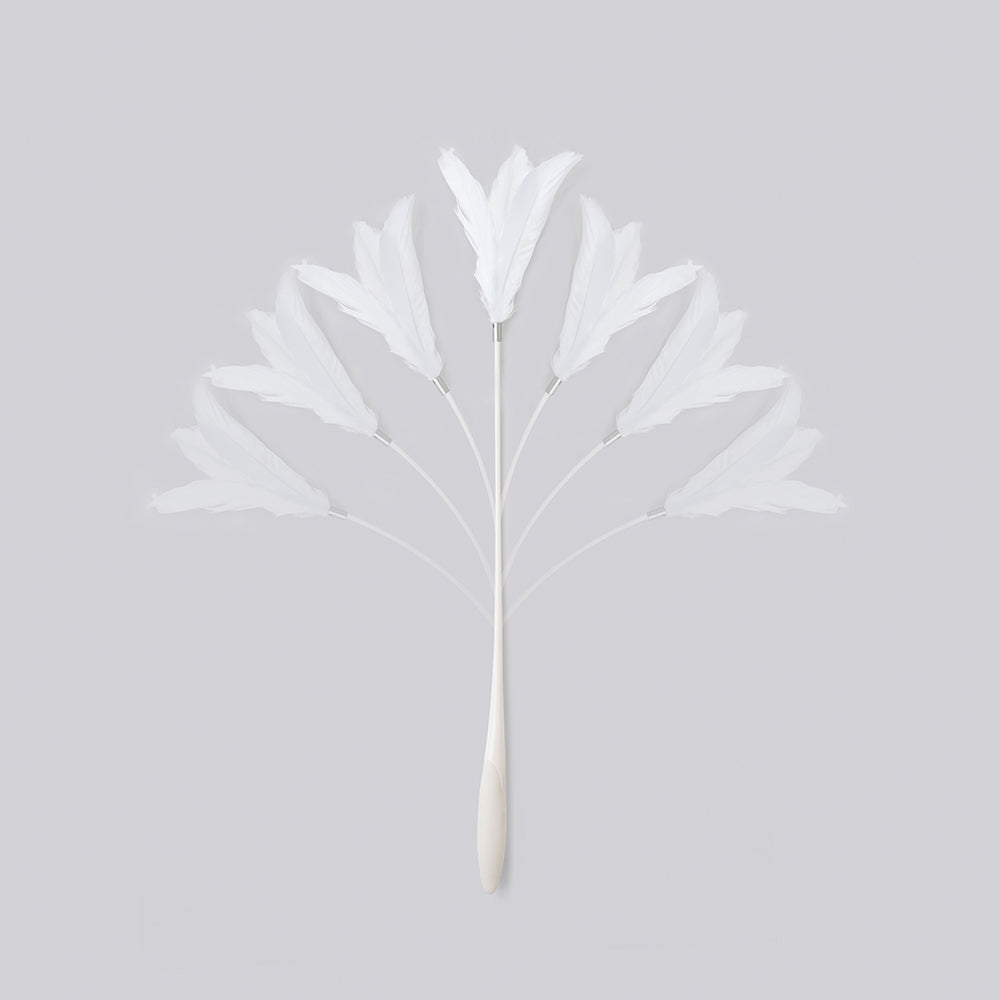 PETKIT New Zealand PIDAN Cat Teaser Wand - Interactive Fun Play