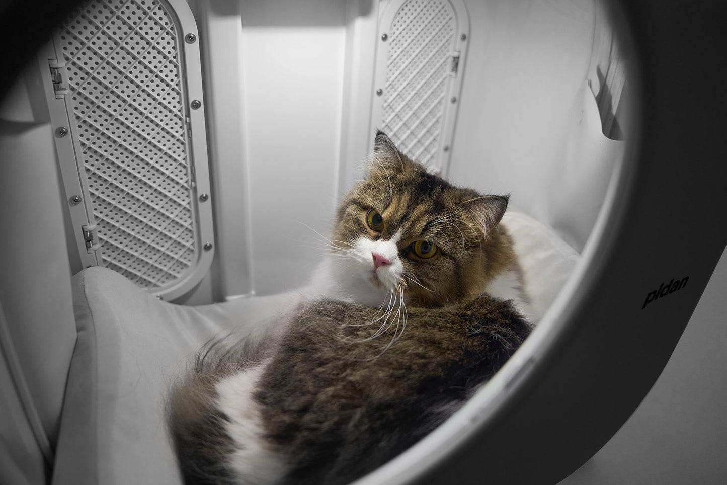 PETKIT New Zealand PIDAN Smart Pet Traveler with LED Lights and Ventilation System Travel