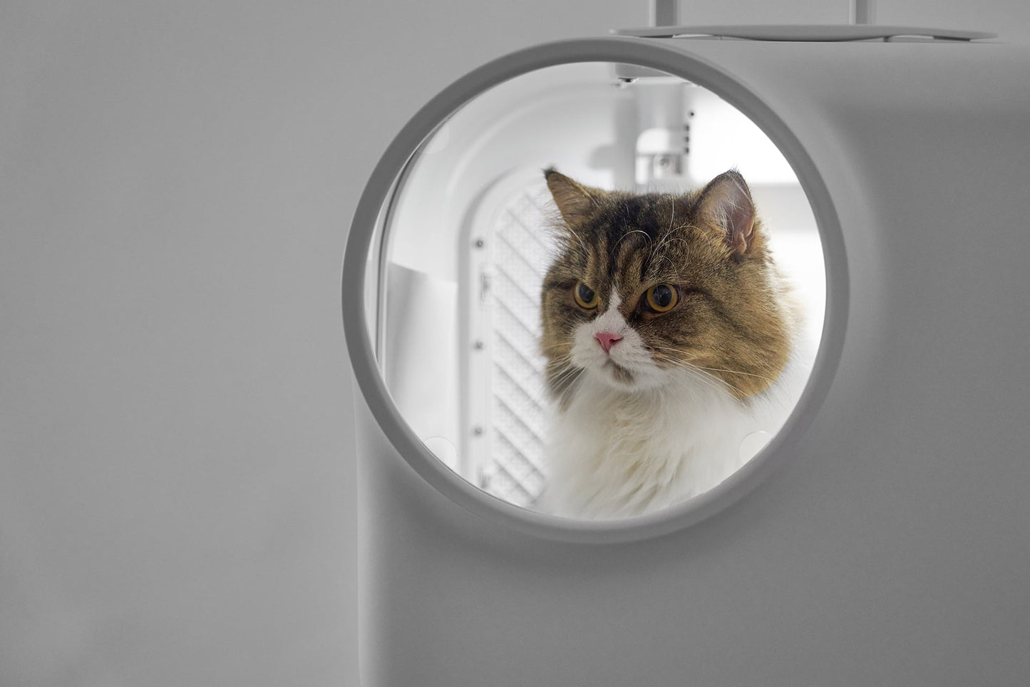 PETKIT New Zealand PIDAN Smart Pet Traveler with LED Lights and Ventilation System Travel