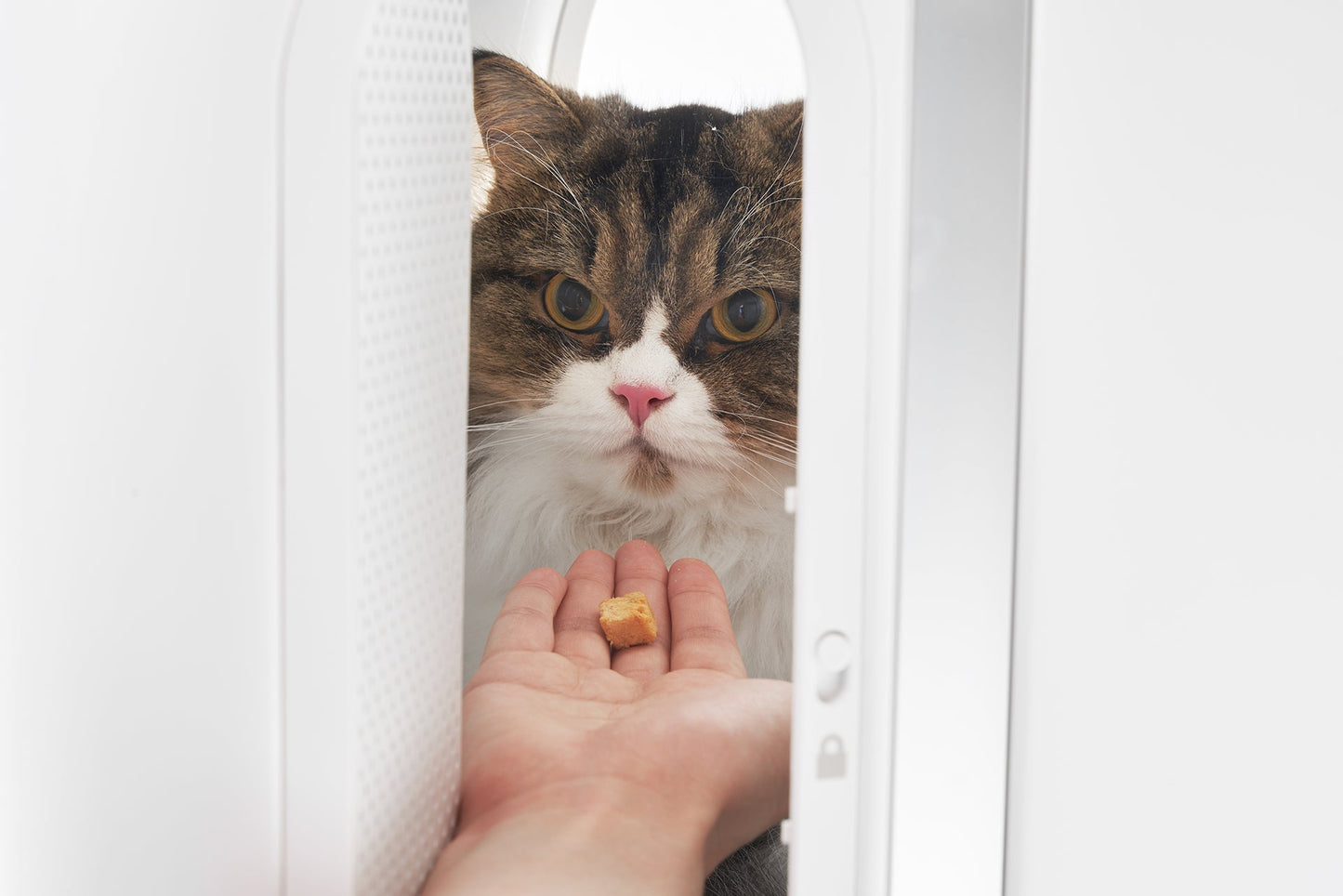 PETKIT New Zealand PIDAN Smart Pet Traveler with LED Lights and Ventilation System Travel