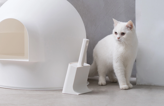 PETKIT New Zealand PIDAN Cat Litter Scoop Poop :)