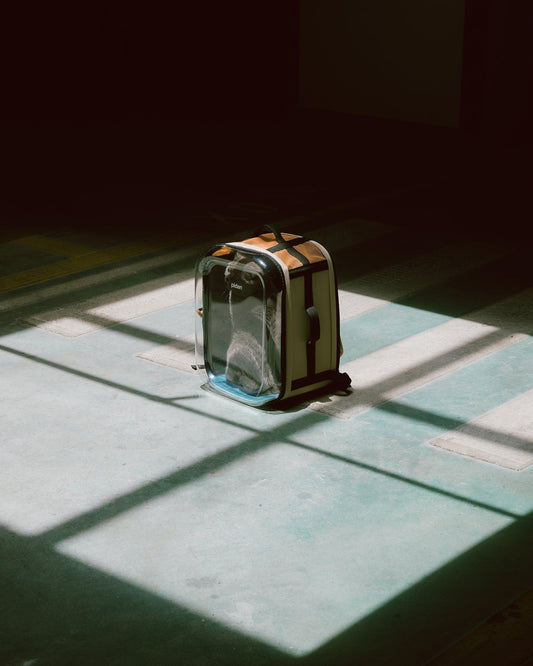 PETKIT New Zealand PIDAN Travel Window Pet Carrier Backpack Travel