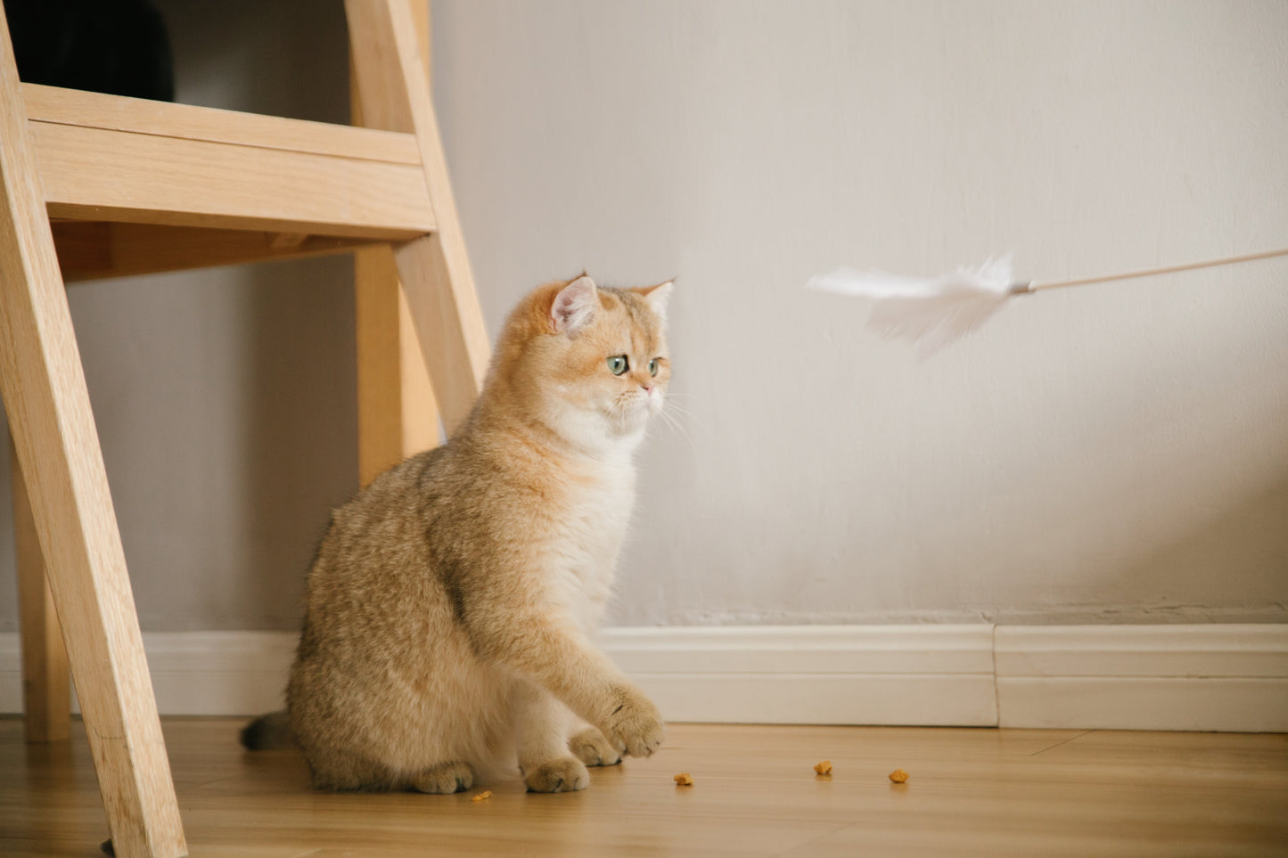 PETKIT New Zealand PIDAN Cat Teaser Wand - Interactive Fun Play