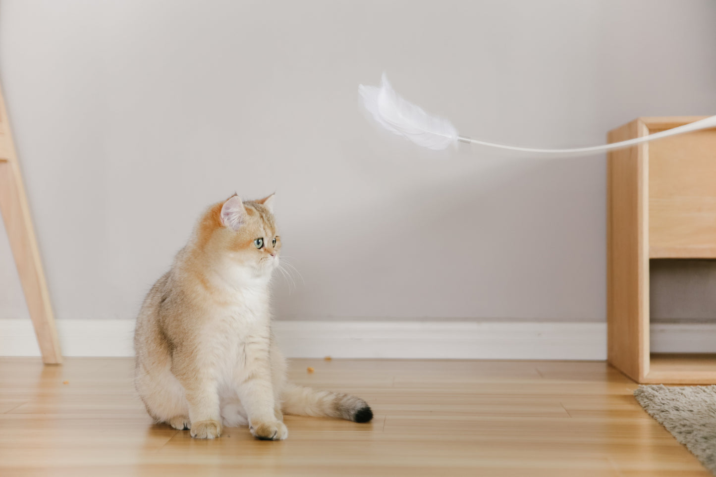 PETKIT New Zealand PIDAN Cat Teaser Wand - Interactive Fun Play