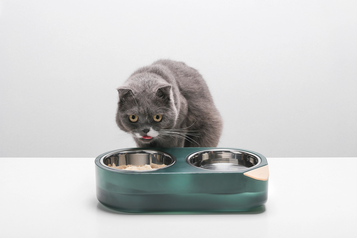 PETKIT New Zealand PIDAN 'Water Secret' - Advanced Temperature-Controlled Pet Feeding Dual Bowl Feed