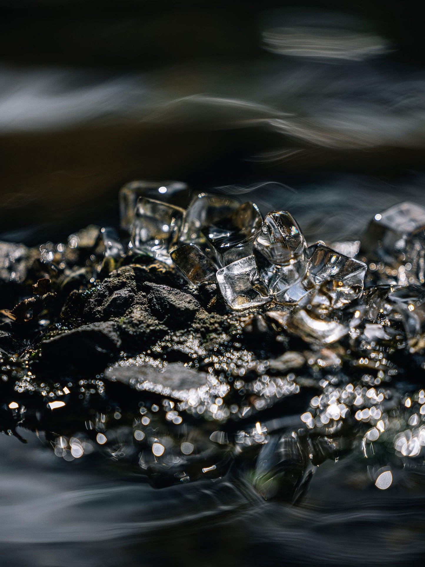 PETKIT New Zealand PIDAN 'Water Secret' - Innovative Temperature-Controlled Pet Feeding Bowl - Small Drink