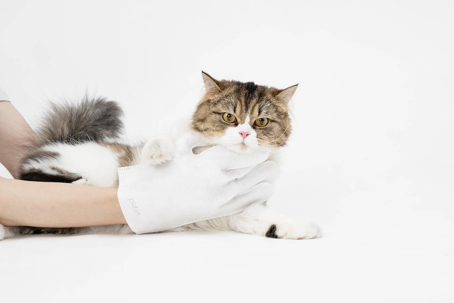 PETKIT New Zealand PIDAN Full Body Cleaning Glove Wipes 6pcs Groom