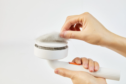 PETKIT New Zealand PETKIT Grooming Brush Groom