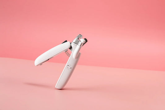 A Step-by-Step Guide to Pet Nail Care