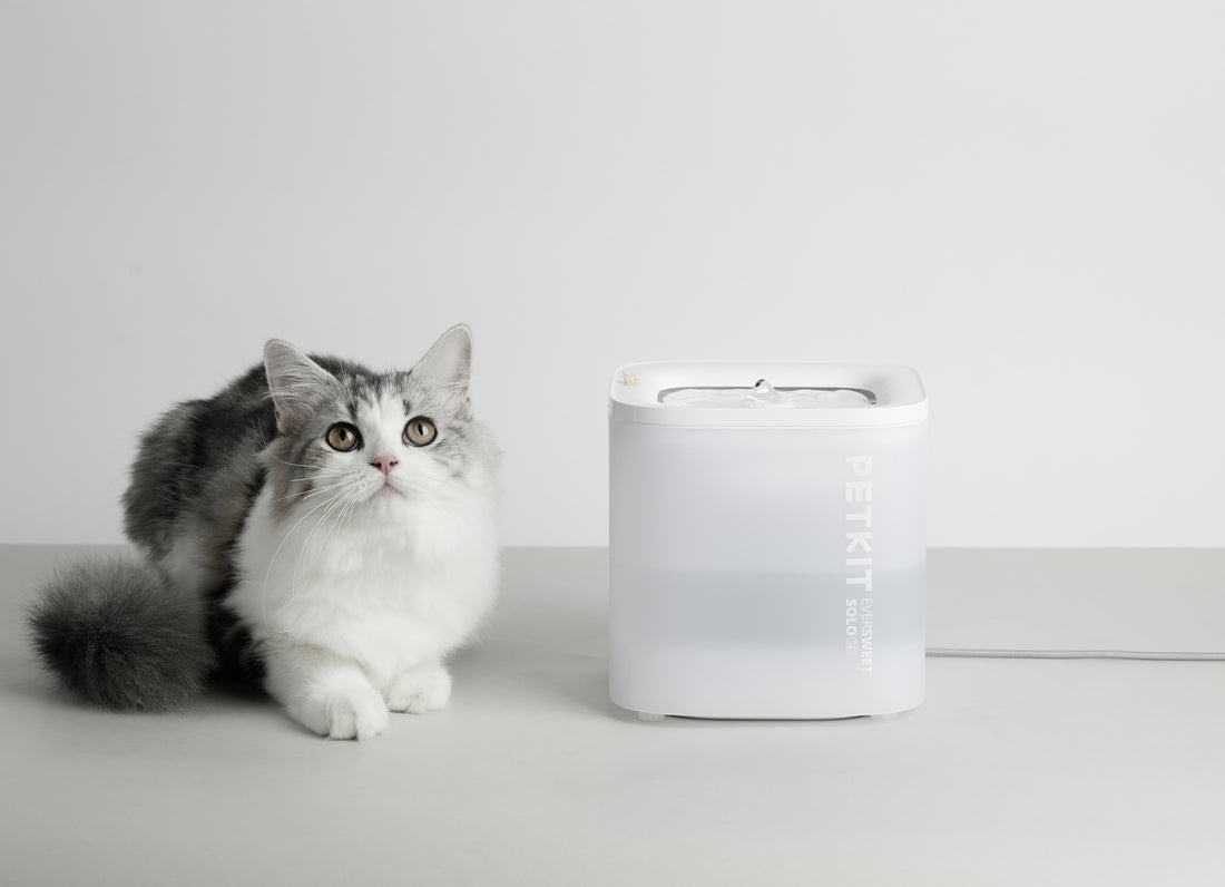 PETKIT Eversweet Solo SE water fountain