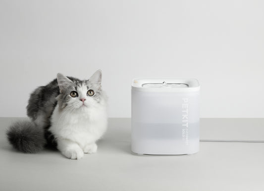 PETKIT Eversweet Solo SE water fountain