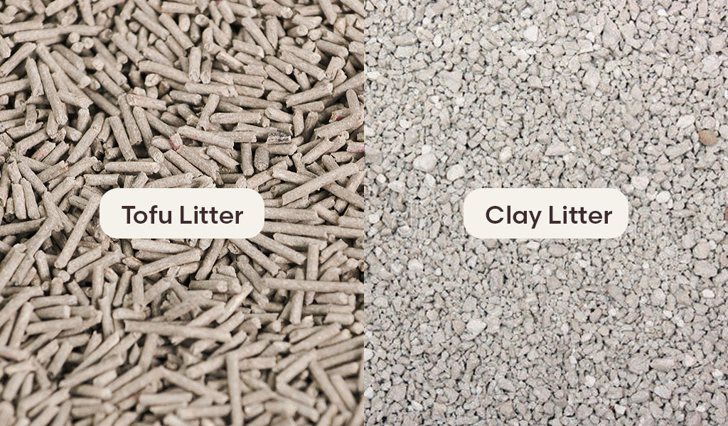 The Ultimate Cat Litter Showdown Bentonite vs. Tofu PETKIT New Zealand