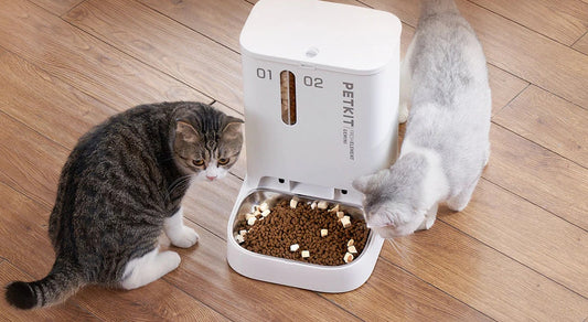 PETKIT Element Gemini automatic pet feeder