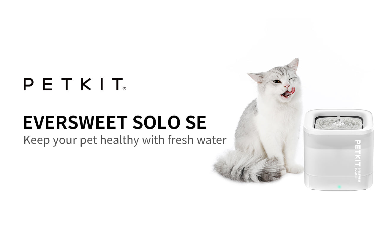 PETKIT New Zealand PETKIT Pet Water Fountain - Eversweet Solo SE Drink