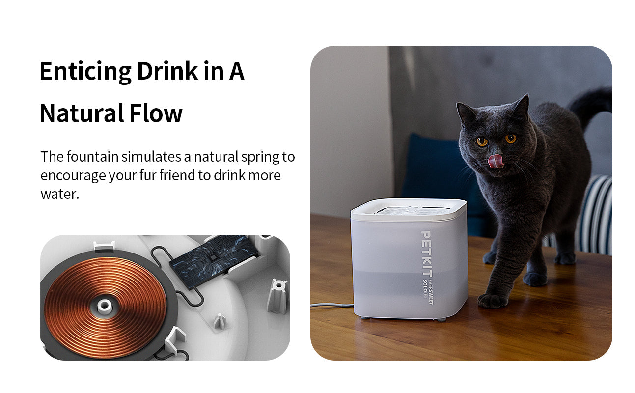 PETKIT New Zealand PETKIT Pet Water Fountain - Eversweet Solo SE Drink