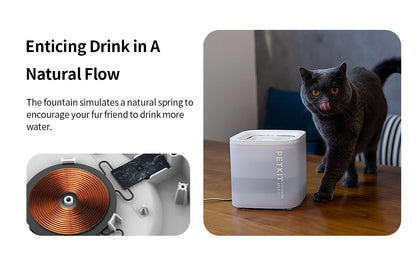 PETKIT New Zealand PETKIT Pet Water Fountain - Eversweet Solo SE Drink