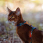 PETKIT New Zealand PIDAN Cat Harness & Leash Set: Secure & Comfortable Adventures Travel
