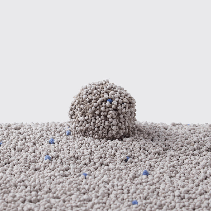 PETKIT New Zealand PIDAN Bentonite Cat Litter 6KG Poop :)