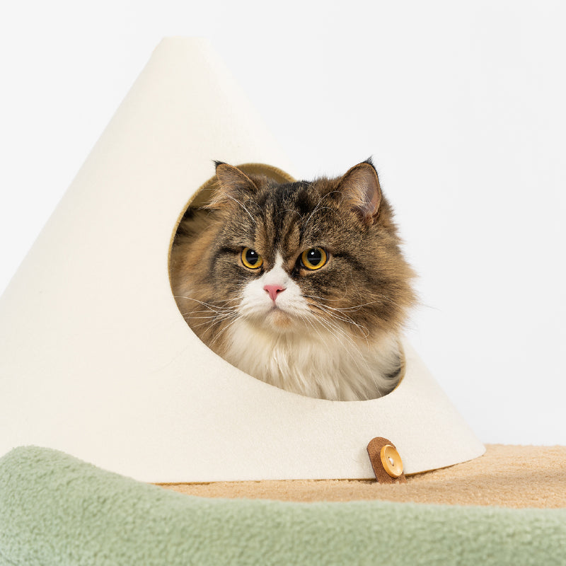 PETKIT New Zealand PIDAN Island Cat Scratching Tree: Ultimate Play & Relaxation Hub for Cats Play