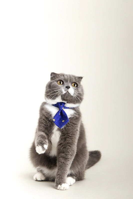 PETKIT New Zealand PIDAN Adjustable Cat Necktie Collar - Style Meets Comfort Wear
