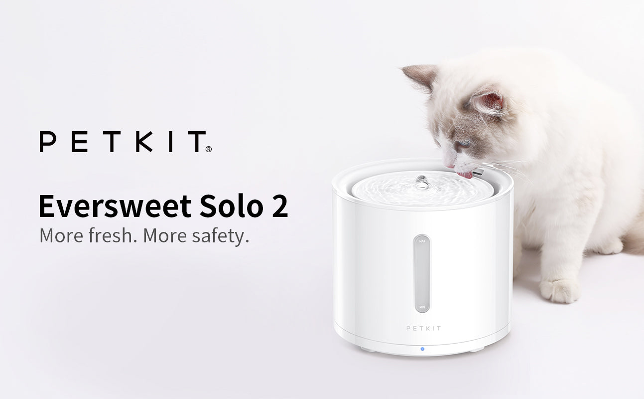 PETKIT New Zealand PETKIT Smart Pet Water Fountain - Eversweet Solo 2 Drink