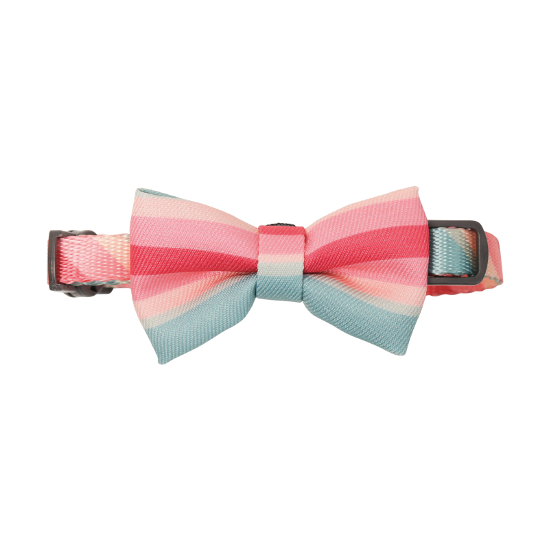 PETKIT New Zealand PIDAN Cat Bow Tie Collar – Premium and Stylish Accessory for Your Cat Wear