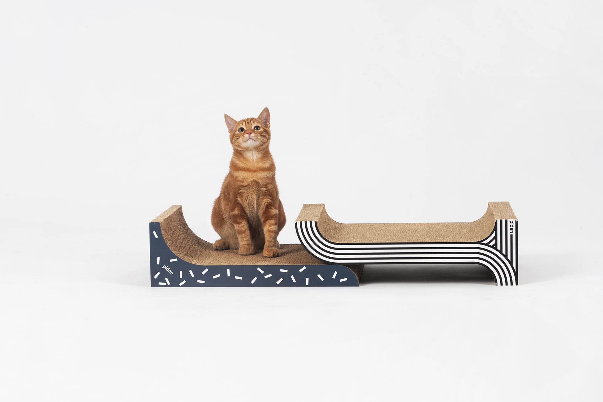 PETKIT New Zealand PIDAN 3 in 1 Combo Cat Scratcher Play
