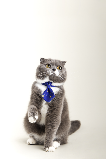 PETKIT New Zealand PIDAN Adjustable Cat Necktie Collar - Style Meets Comfort Wear