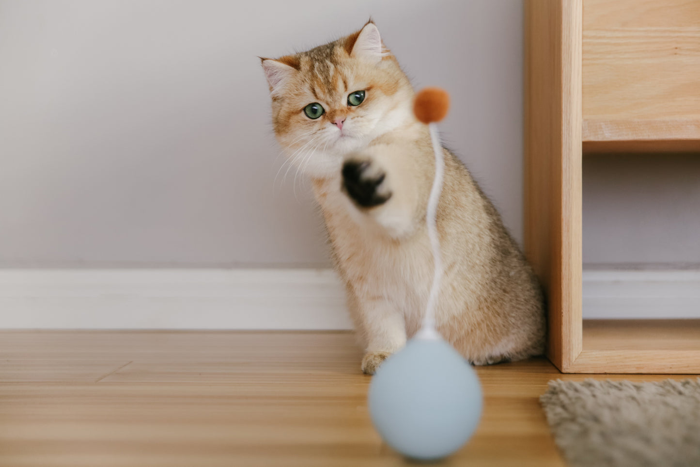 PETKIT New Zealand PIDAN Blue Balloon Cat Toy - Engaging and Durable Playtime Companion Play
