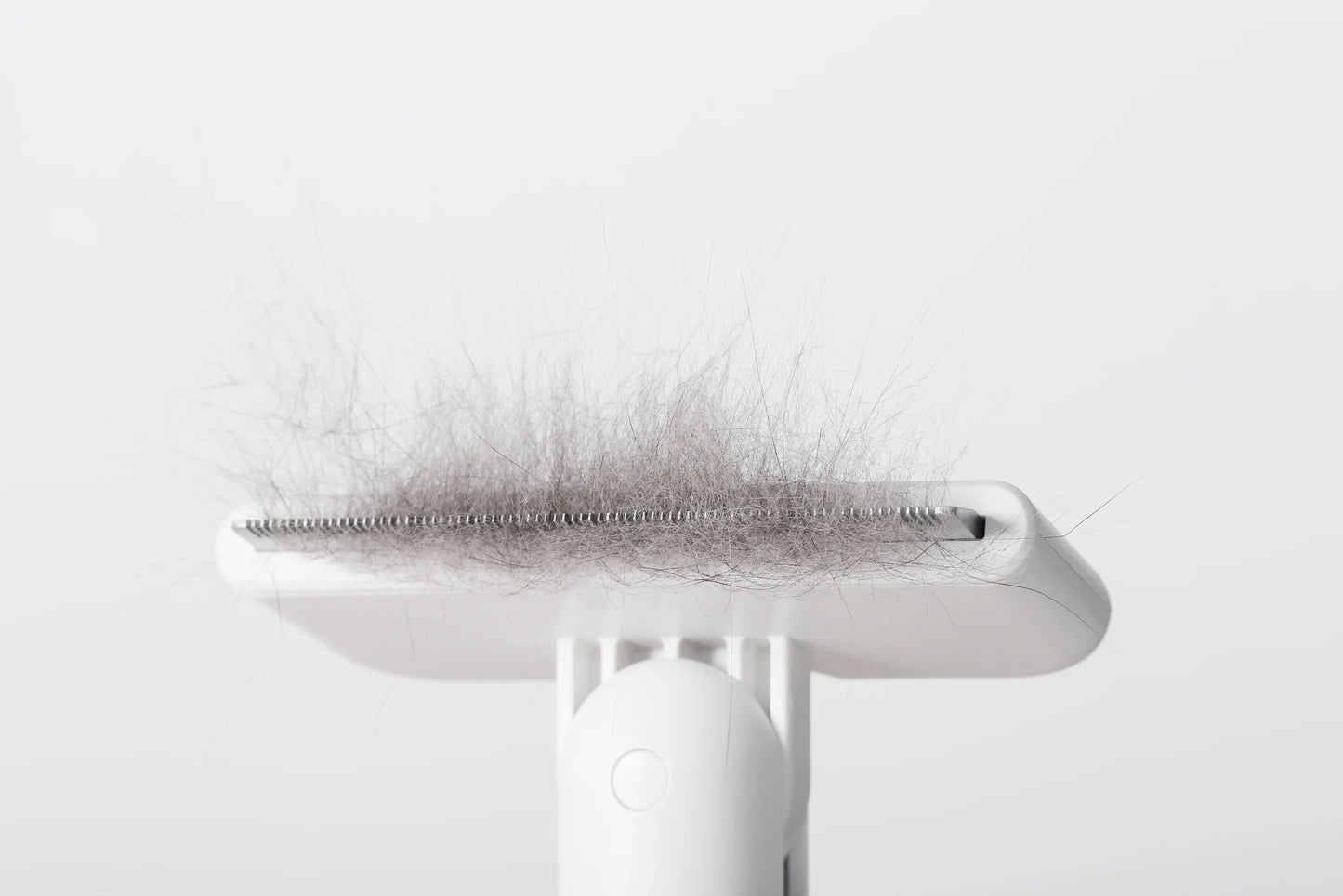PETKIT New Zealand PIDAN Pet Deshedding Brush For Short Hair Pets Groom