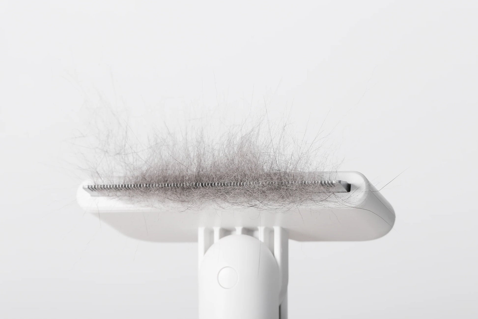 PETKIT New Zealand PIDAN Pet Deshedding Brush For Short Hair Pets Groom