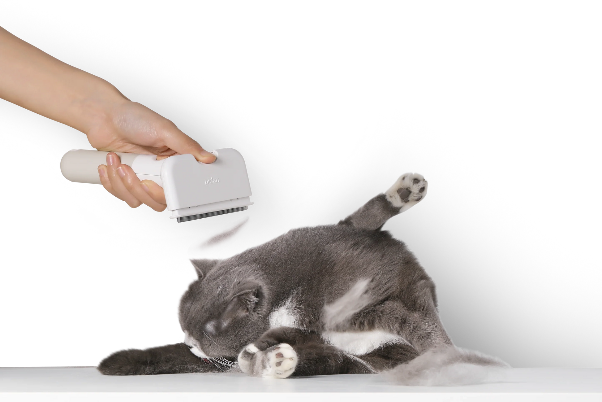 Beautiful view of Deshedding Brush For Short Hair Poona Blue Paste