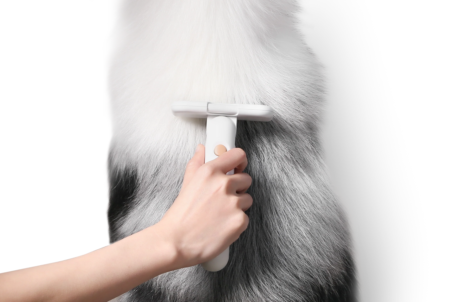 PETKIT New Zealand PIDAN Pet Deshedding Brush For Short Hair Pets Groom