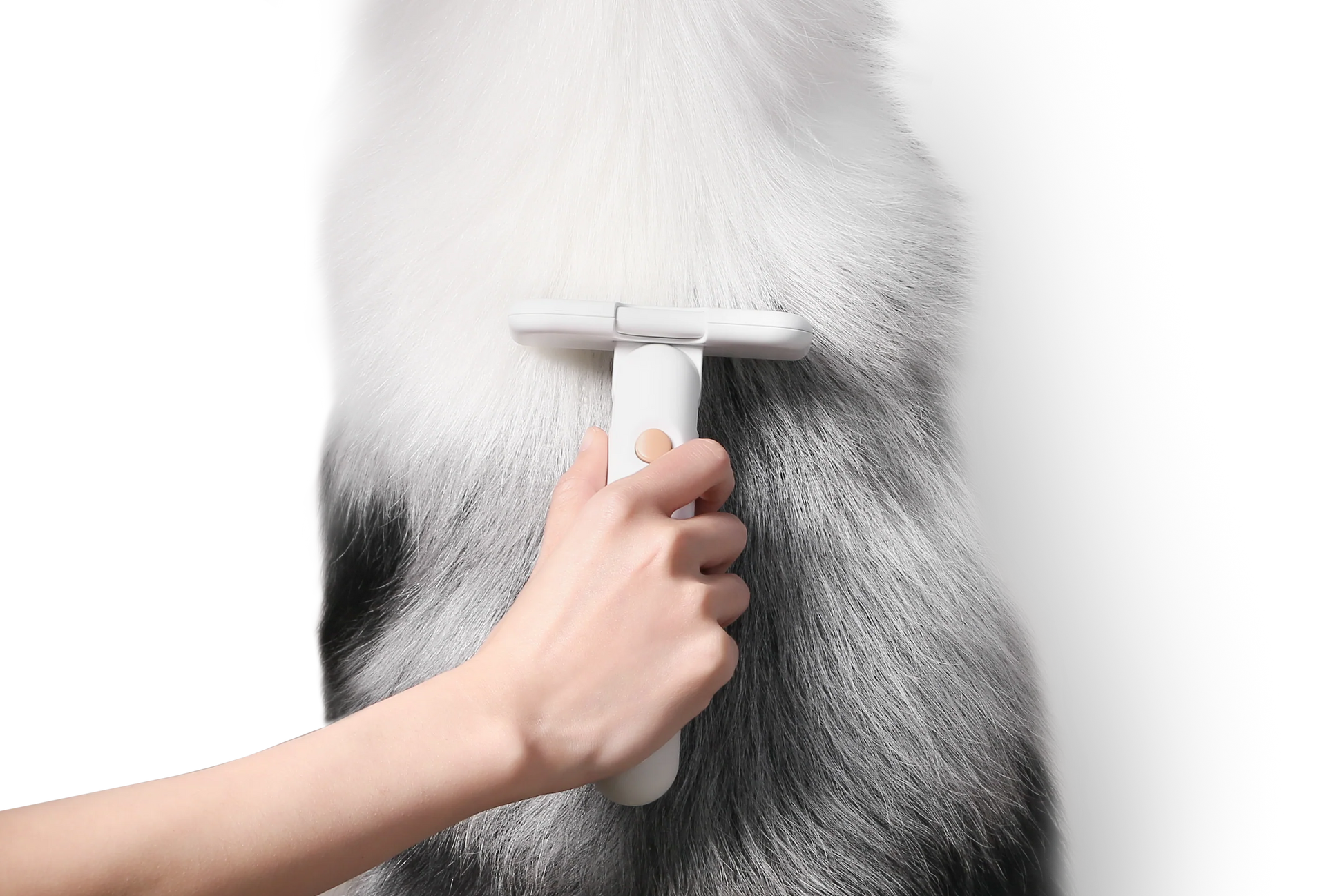 PETKIT New Zealand PIDAN Pet Deshedding Brush For Short Hair Pets Groom