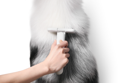 PETKIT New Zealand PIDAN Pet Deshedding Brush For Short Hair Pets Groom