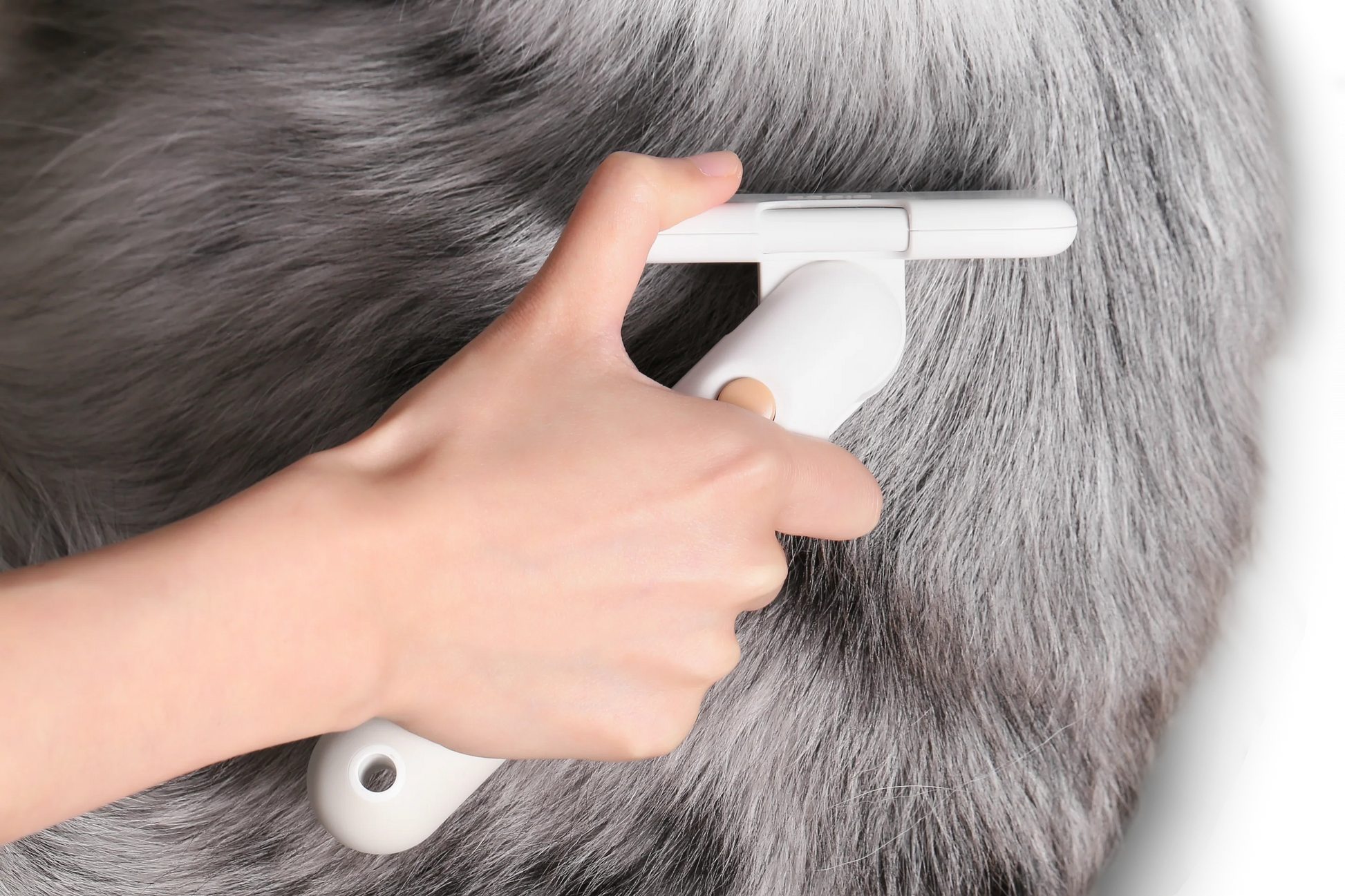 PETKIT New Zealand PIDAN Pet Deshedding Brush For Short Hair Pets Groom
