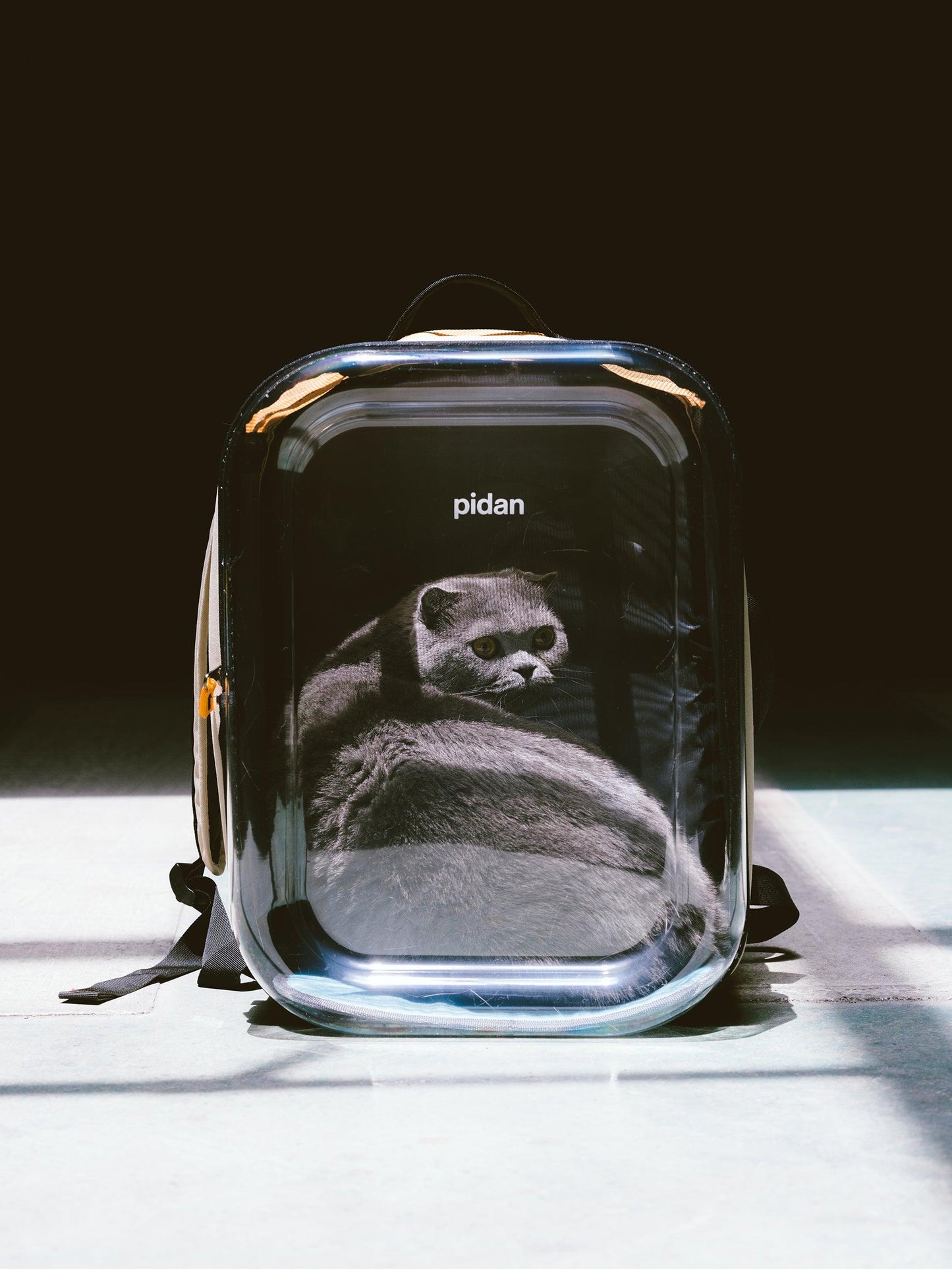 PETKIT New Zealand PIDAN Travel Window Pet Carrier Backpack Travel