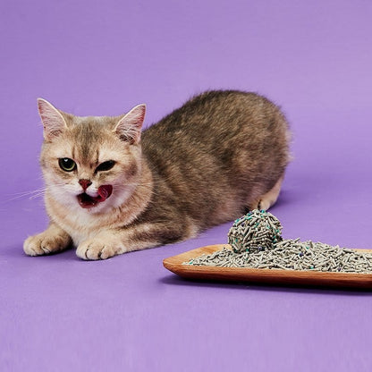 PETKIT New Zealand PETKIT 5 in 1 Activated Carbon Bentonite and Tofu Clumping Cat Litter Poop :)