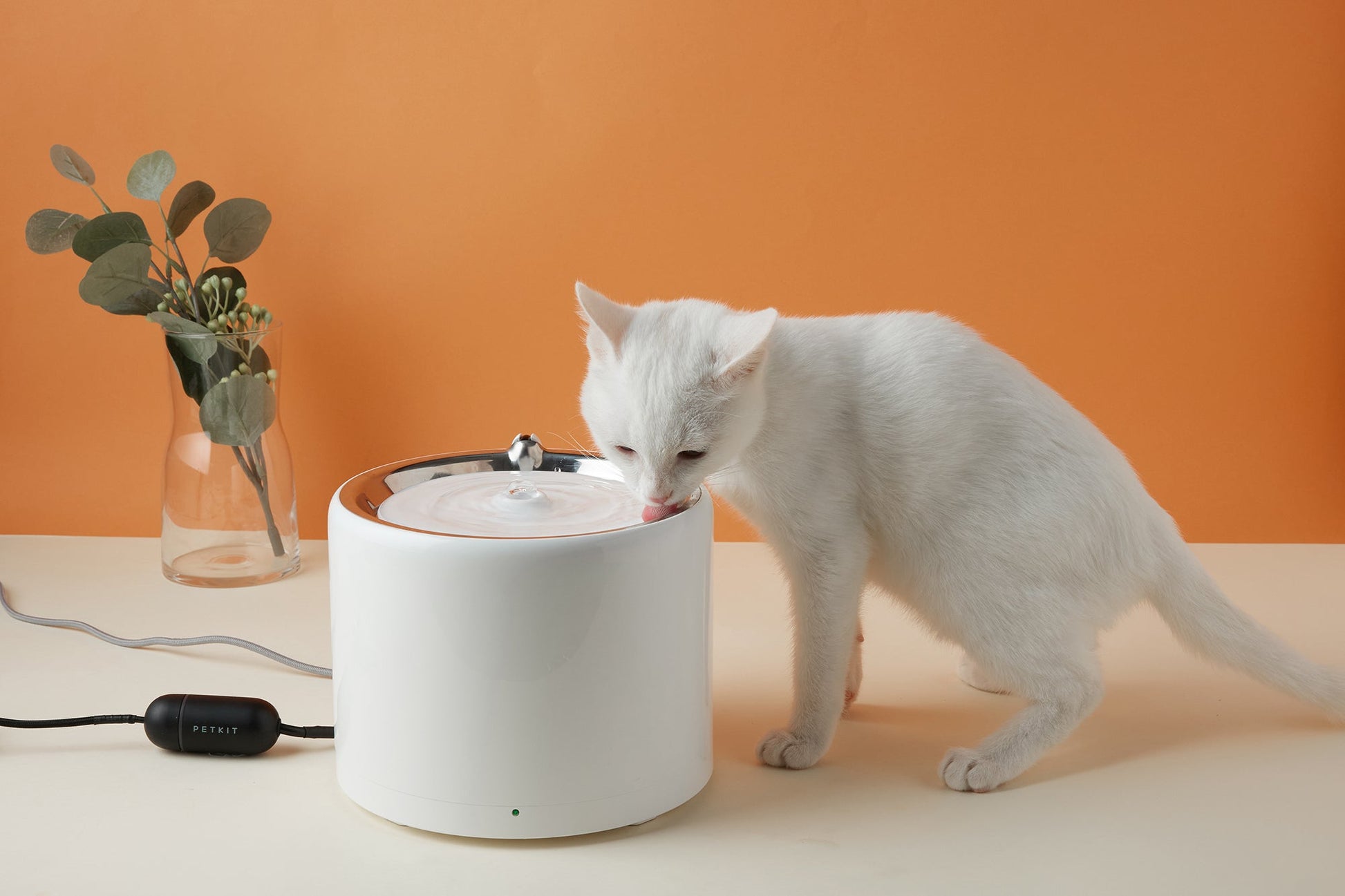 PETKIT New Zealand PETKIT Smart Pet Water Fountain - Eversweet 3 Pro Drink