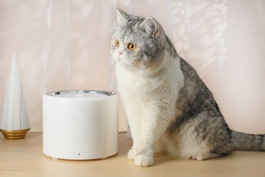 PETKIT New Zealand PETKIT Smart Pet Water Fountain - Eversweet 3 Pro Drink
