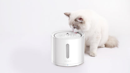 PETKIT New Zealand PETKIT Smart Pet Water Fountain - Eversweet Solo 2 PETKIT CAT DOG