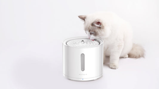 PETKIT New Zealand PETKIT Smart Pet Water Fountain - Eversweet Solo 2 PETKIT CAT DOG