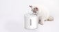 PETKIT New Zealand PETKIT Smart Pet Water Fountain - Eversweet Solo 2 PETKIT CAT DOG